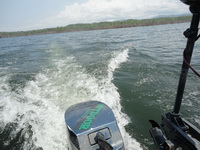 peche au gros poisson chat peche aventure thailand